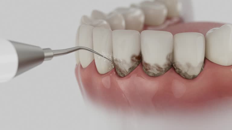 Reliable Dental contractor in Little Flock, AR by Dentist Open Now